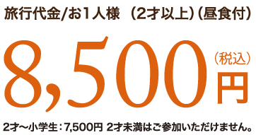 8000円